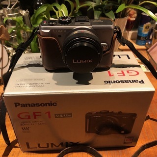 LUMIX GF-1／ケース付（中古）