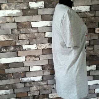 adidasオリジナルス♪Tシャツ☆グレーの画像