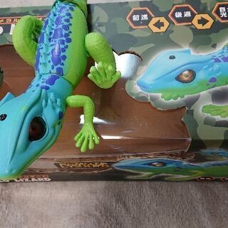 【R/C エメラルドリザード】かわいい？の画像