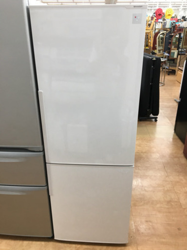 【トレファク摂津店 店頭限定】SHARPの2ドア冷蔵庫を入荷致しました‼︎