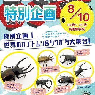 終了しました　特別企画　長南町に世界の　カブトムシ　＆　クワガタ...