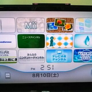 wii本体+wii fit+ソフト2本すぐ遊べるセットの画像