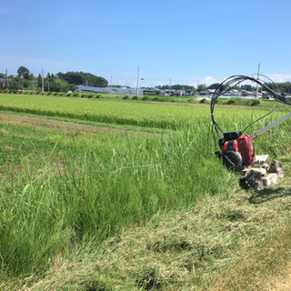 田んぼの草刈り致します
