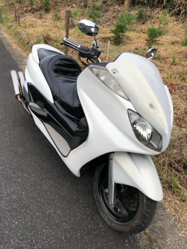 グランドマジェスティ カスタム