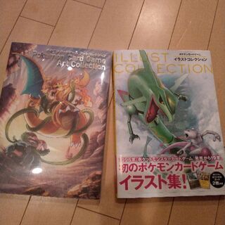 ポケモンイラスト集　2冊セット