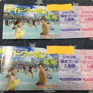【新品未使用】ナガシマスパーランド☆ワイドクーポン ２冊