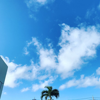 足場解体、組立のお手伝い