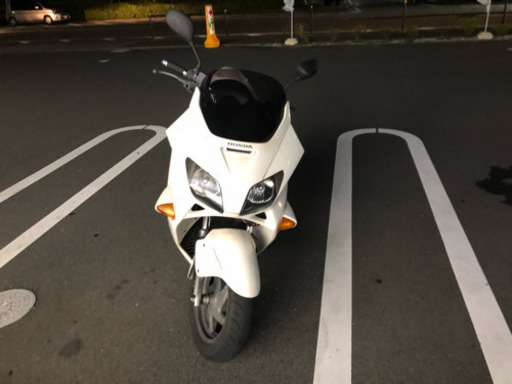 フォルツァ MF06 白