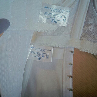 【美品!!】セモア★ブライダルインナーの画像