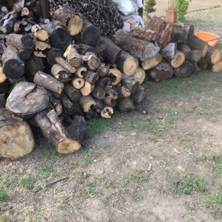 薪 無料でどうぞの画像