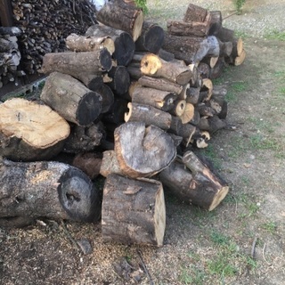 薪 無料でどうぞ