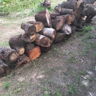 薪 無料でどうぞの画像