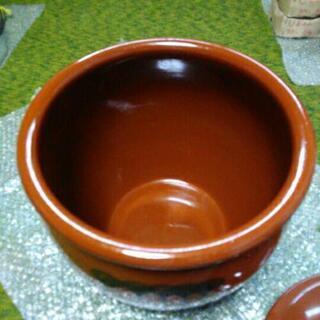 　大きな丸カメ　の画像