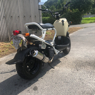 ズーマー の画像