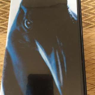 差し上げます LUNA SEA  ビデオテープの画像
