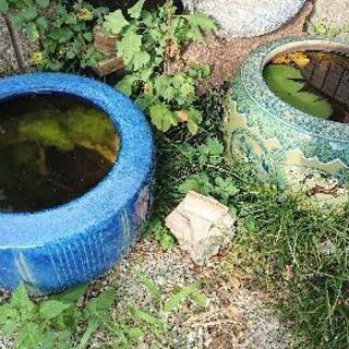 火鉢 二個セット