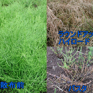 除草剤散布！！草刈作業！！ - 佐野市