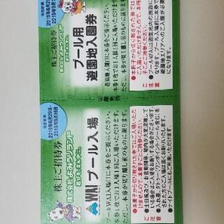 よみうりプール入場券