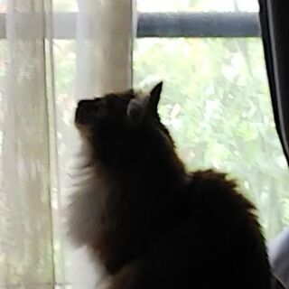 ギターさん募集しています。