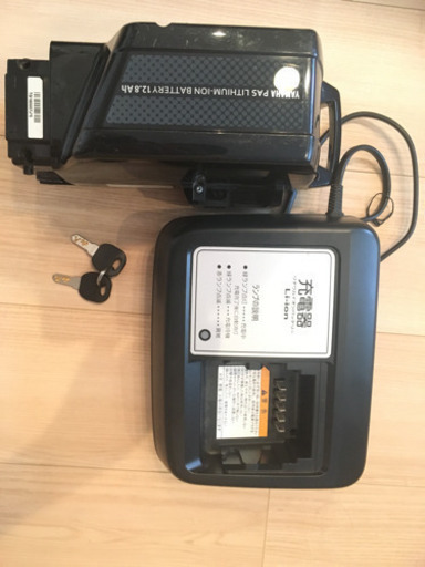 YAMAHA PAS Brace