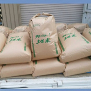 令和元年収穫❣️仁井田米❣️お買い得 コシヒカリより美味しいお試...
