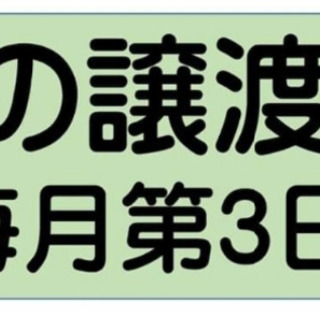 仔猫の譲渡会