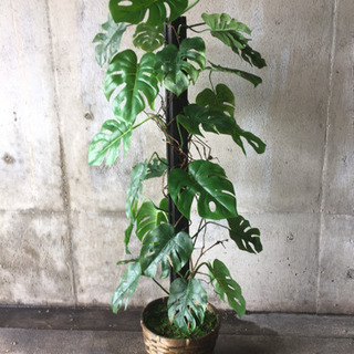 人工観葉植物 造花 モンステラ