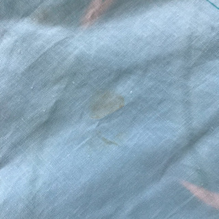 レディース 浴衣 水色の画像