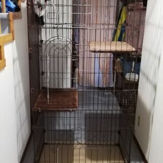 キャットゲージ　３段　中古