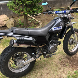 tw200  2jlの画像