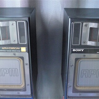 SONY APM-D950AV