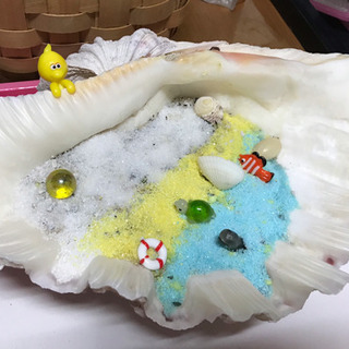 ☀️水耕栽培用のシャコ貝達＋おまけ付き♪