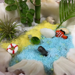 ☀️水耕栽培用のシャコ貝達＋おまけ付き♪の画像