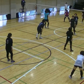 中野区家庭婦人バレーボール(9人制)メンバー募集☆ママさんバレー🎵 - スポーツ