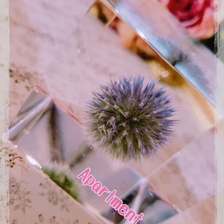 固まるハーバリウム★坂戸グランドホテルの画像