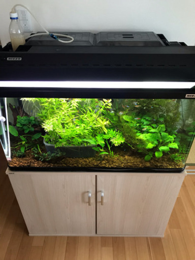 ※お話中。ニッソー  900 450 450 曲げガラス 上部フィルター