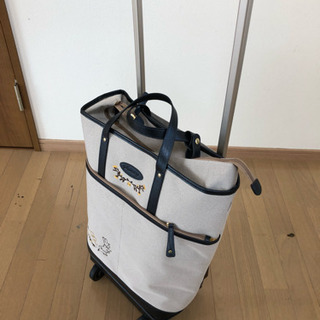 ピーターラビットキャリーバッグ
