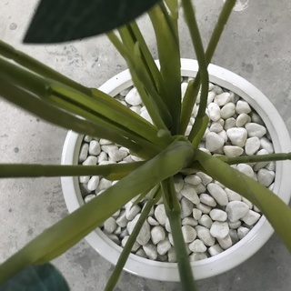 KM30 【お買い得品】 観葉植物 人口植物 インテリア 雑貨の画像