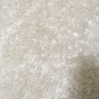 【無料】楕円形ラグの画像
