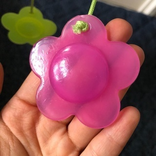プーメリー の画像
