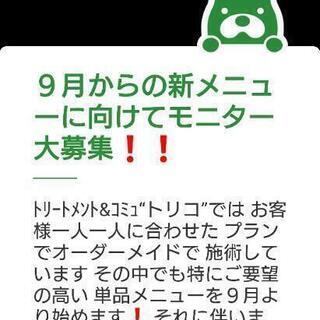 ９月からの新メニューに向けて、モニター大募集中❗オイルトリートメ...