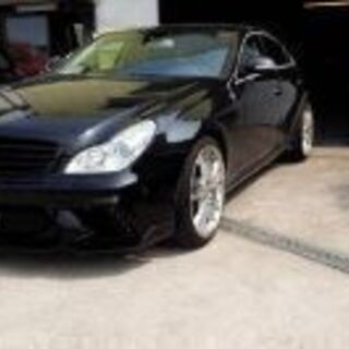 CLS350 　WALD ブラックパイソン　AMGサイドリア　2...