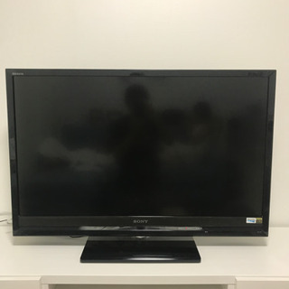 テレビ 