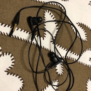 SONY ウォークマン NW-S313の画像