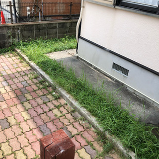 読谷で草刈り★3時間★3000円