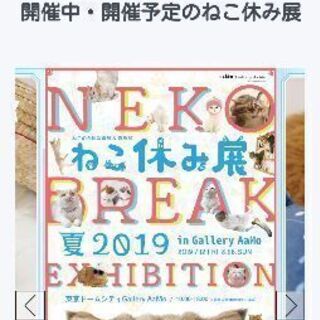 ねこ休み展  チケット(大人2枚) 差し上げます