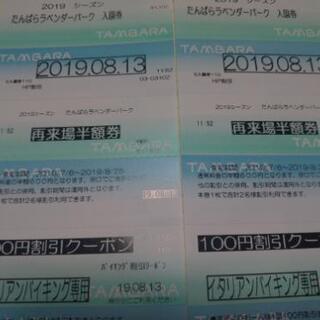 たんばらラベンダーパーク 半額入場券