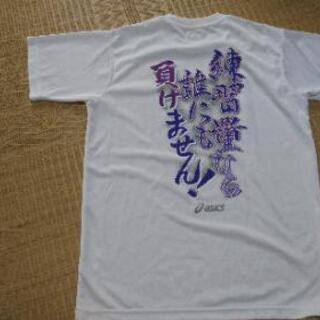 Tシャツの画像