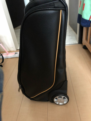 ミズノプロ キャリーバッグ