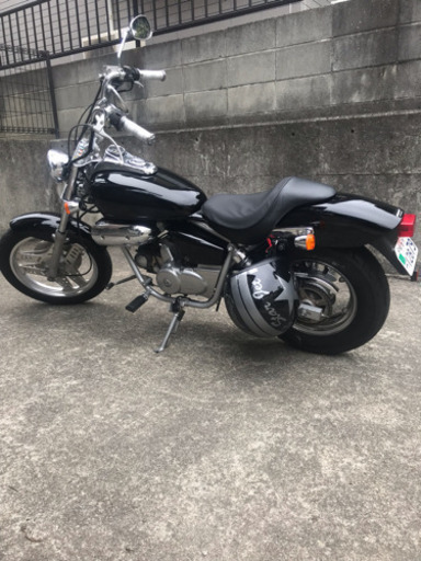マグナ50